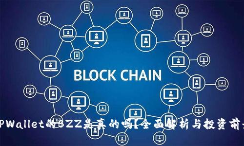 TPWallet的BZZ是真的吗？全面解析与投资前景
