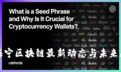 赵海宁区块链最新动态与未来展望