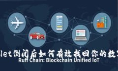 tpwallet倒闭后如何有效找回你的数字资产