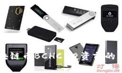 即将上市的区块链币BCHC：投资前的深度解析与展望