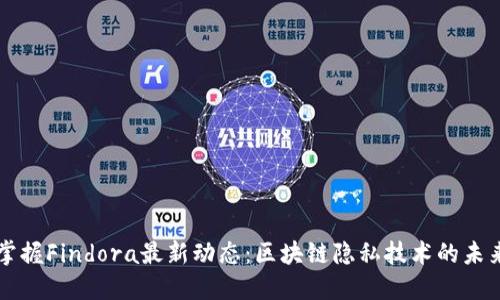掌握Findora最新动态：区块链隐私技术的未来