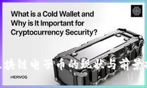 : 区块链电子币的现状与前景探讨