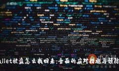 :tpwallet被盗怎么找回来：全面的应对措施与预防