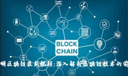 : 凌发明区块链最新视频：深入解析区块链技术的前沿应用