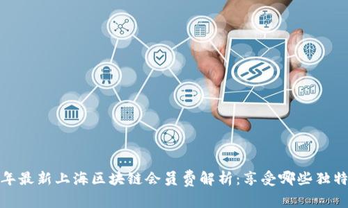 2023年最新上海区块链会员费解析：享受哪些独特权益？