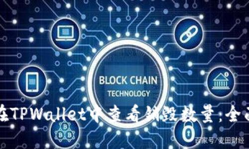 如何在TPWallet中查看销毁数量：全面指南