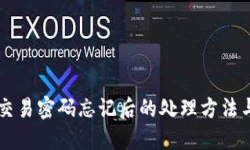 TPWallet交易密码忘记后的处理方法与解决方案