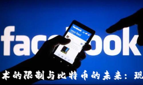   
区块链技术的限制与比特币的未来: 现实与期望