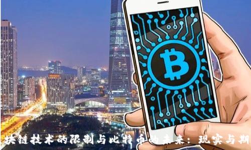   
区块链技术的限制与比特币的未来: 现实与期望