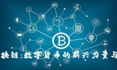 熊猫币区块链：数字货币的新兴力量与未来展望