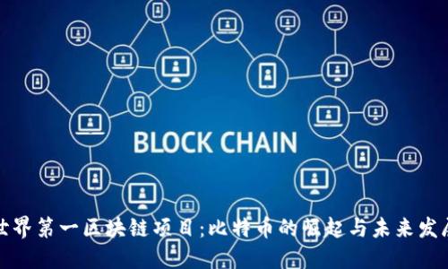 世界第一区块链项目：比特币的崛起与未来发展