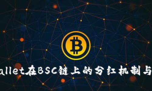 探索TPWallet在BSC链上的分红机制与投资价值