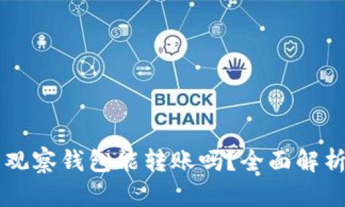 TPWallet的观察钱包能转账吗？全面解析与使用教程