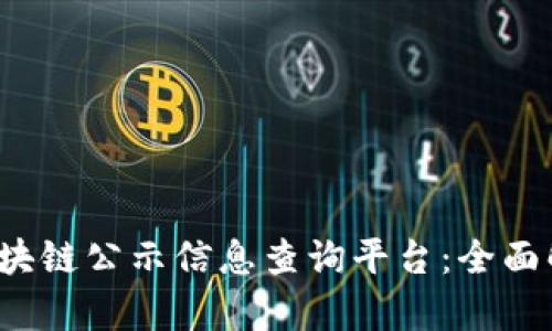 2023年最新区块链公示信息查询平台：全面解析与使用指南