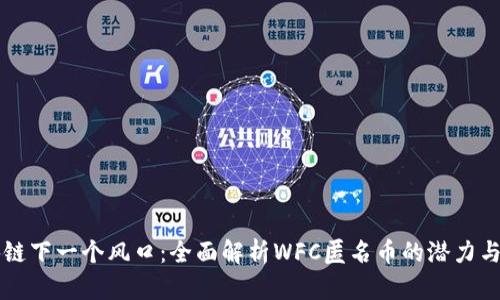 区块链下一个风口：全面解析WFC匿名币的潜力与未来