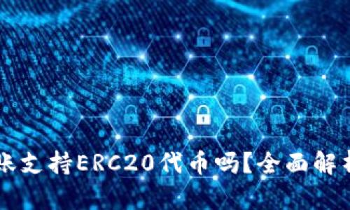 TPWallet转账支持ERC20代币吗？全面解析与实用指南