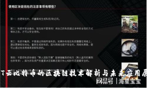 CBT云比特币的区块链技术解析与未来应用展望